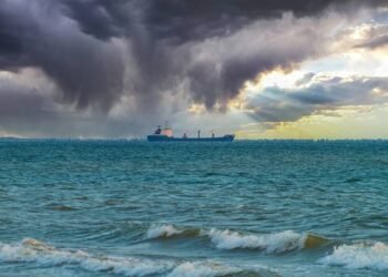 Insurers Reviewing Black Sea Ship Cover After Russia Quits Deal