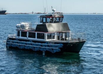 whale watching boat