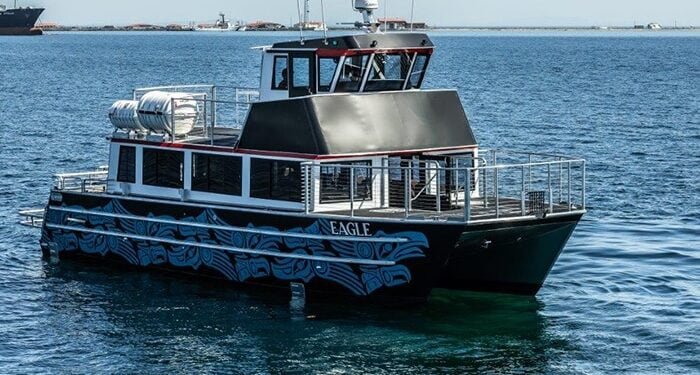 whale watching boat