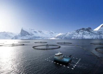 HAV Group Set to Acquire Undheim Systems, Adding DP Capabilities