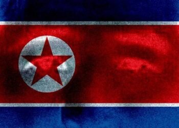 North Korea Is Growing Its Navy with Submarines and Nuclear Drones. But Why?