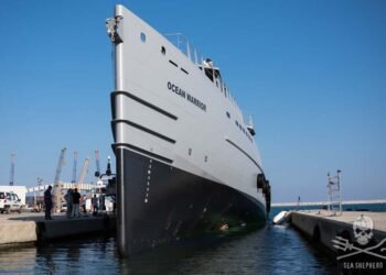 Sea Shepherd Announces Anti-Whaling Campaign Despite U.S. Settlement