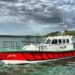 Safehaven Marine Launches New Pilot Boat for Svitzer Safehaven Marine Launches New Pilot Boat for Svitzer