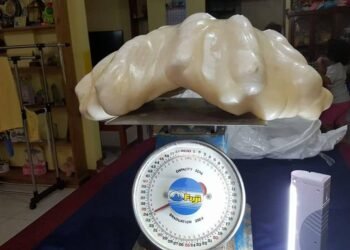 World's Largest Pearl