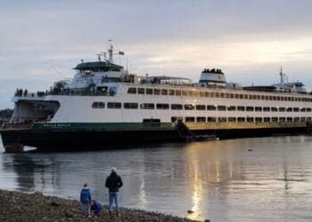 Fungal Growth Plugged Fuel Filters on WSF Ferry, Causing Grounding