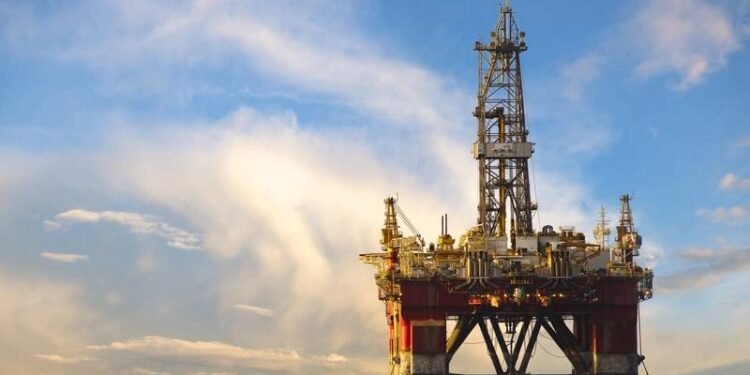 Oil Companies Sue Over Lease Changes Made to Protect Whales