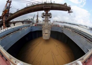 A Chinese ship is loaded with soybeans at Port of Santos