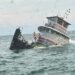 tugboat sinks