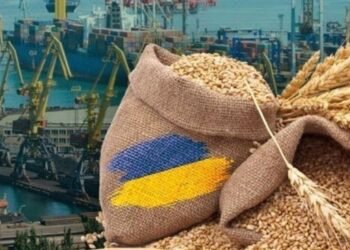 Could temporary corridors for ships allow more Ukraine grain to reach world markets?