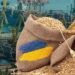 Could temporary corridors for ships allow more Ukraine grain to reach world markets?