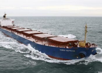 BIMCO Chief: Dry Bulk Recovery Possible in 2019 But Action Needed Now