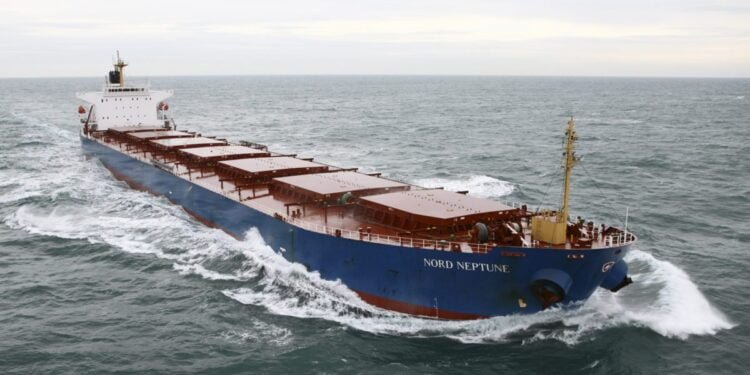 BIMCO Chief: Dry Bulk Recovery Possible in 2019 But Action Needed Now