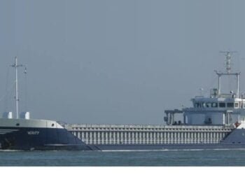 Germany Will Raise Cargo Ship Verity as Collision Investigation Proceeds