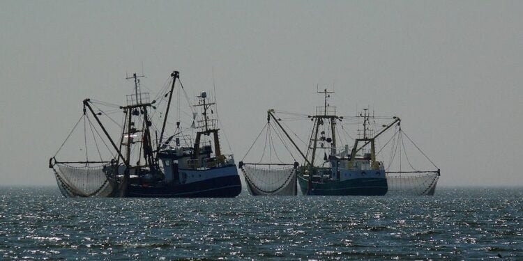 South Africa Arrests Chinese Squid Poaching Ships South Africa Arrests Chinese Squid Poaching Ships