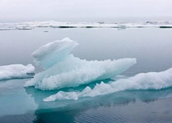 Arctic Ocean Could Be Ice-free In Summer By 2030s, Scientists Say