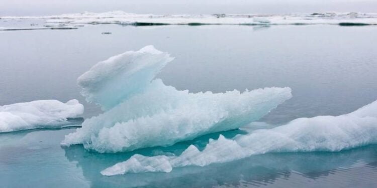 Arctic Ocean Could Be Ice-free In Summer By 2030s, Scientists Say