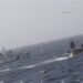 Argentina Coast Guard Chases, Sinks Chinese Fishing Vessel