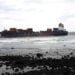 Grounded TS Lines Cargo Ship Splits in Two Off Taiwan