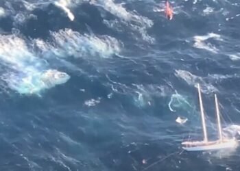 Rescue Swimmer Awarded Aviation's Highest Honor for Daring SAR Response