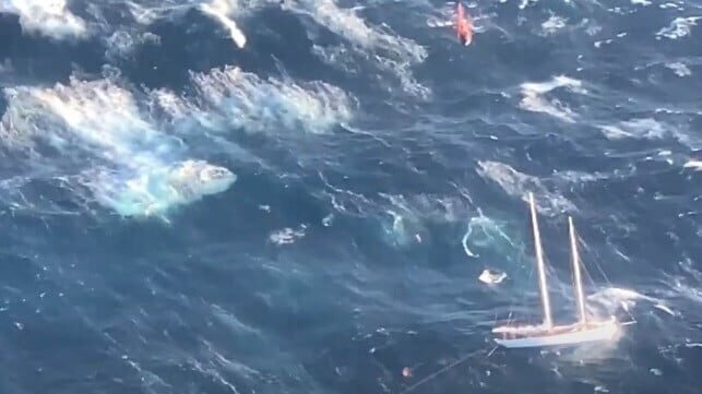 Rescue Swimmer Awarded Aviation's Highest Honor for Daring SAR Response