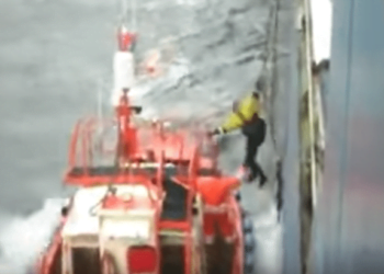 WATCH: Scary Footage Shows Ship Pilot Fall from Ladder