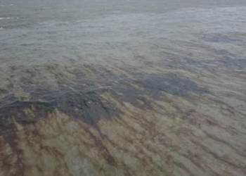 U.S. Coast Guard Responds to Gulf of Mexico Oil Spill