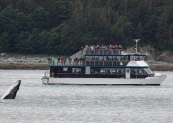 Allen Marine Tours to Repower Two Vessels with Scania Engines