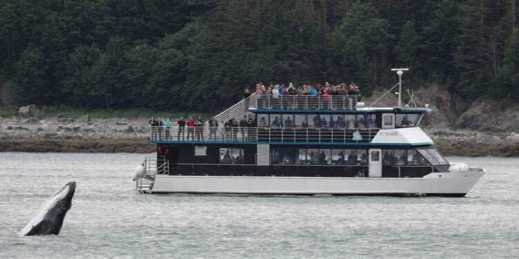 Allen Marine Tours to Repower Two Vessels with Scania Engines Allen Marine Tours to Repower Two Vessels with Scania Engines