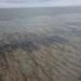 1 Million+ Gallons: Pipeline Leaking Oil in the Gulf of Mexico