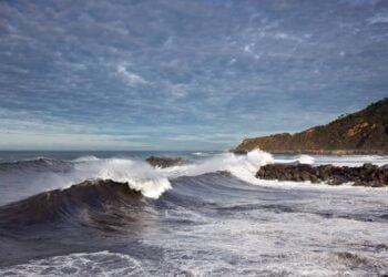 UK Offshore Wind and CCS Colocation Projects Underway
