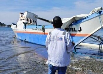 Owner of Vessel Damaged by Chinese Bulker Reaches Settlement