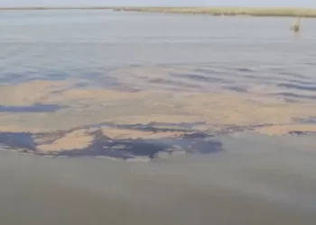 Oil Spill Reported Near Venice, Louisiana