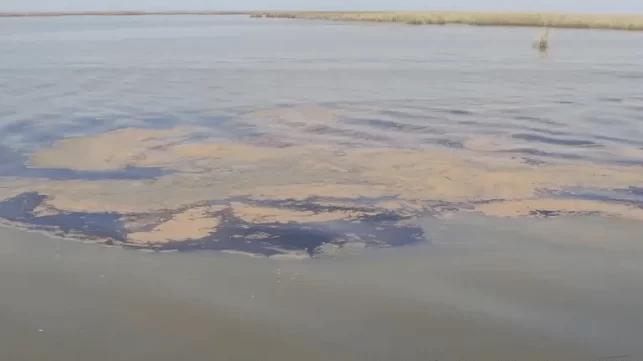 Oil Spill Reported Near Venice, Louisiana