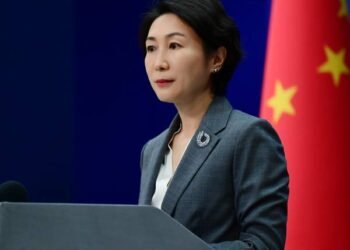 China Willing to Provide Necessary Information on Baltic Sea Pipeline Probe