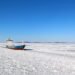 Arctic Thaw Opens Shipping Routes, Risks to Environment