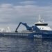 Viridis ammonia-fueled bulker