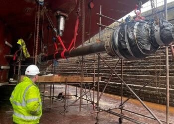 Is Stern Tube Damage Declining?