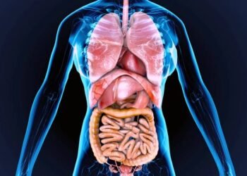 Offshore Equipment Hydraulic Maintenance Tip-of-the-Day: Oil Cleanliness