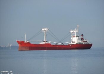 More Than 20 Tons of Hashish Found Stashed Inside Cargo Ship in Italy