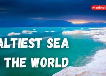 The Saltiest Sea in the World – 16 Facts You Might Not Know