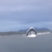 Leviathan II Sinking: Passengers Were Crowded On One Side of Top Deck When Wave Hit, TSB Says