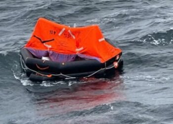 Search Underway After Shadowy Turkish Cargo Ship Sinks South of Istanbul