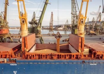 Ship Insurance Facility Set Up for Ukraine Grain Exports
