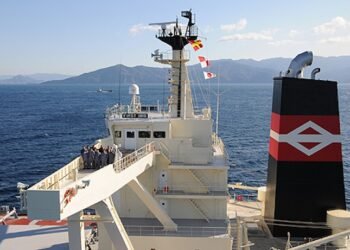 Japanese Dry Bulk Shipper Daiichi Chuo Files for Bankruptcy