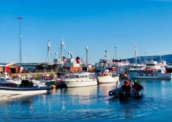 AI Unlocks RIB Safety & Efficiency Gains