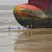 Is This the End for South Asia Shipbreakers?