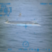 Search Continues for Two Missing Teens Off Florida