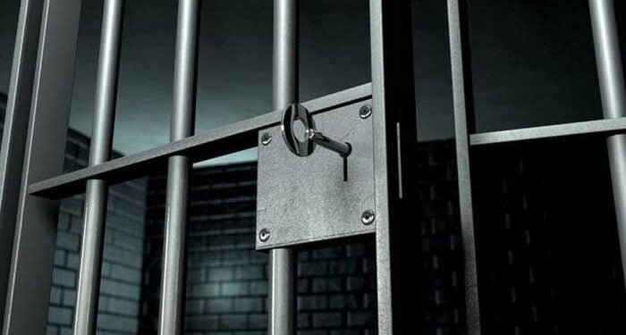 One year prison term for illegal charter boat operator