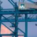 Maersk’s APM Terminals Expands in Latin America with Acquisition on Spanish Rival apm terminals