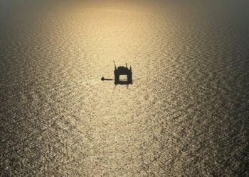 NOIA Appoints New Executives